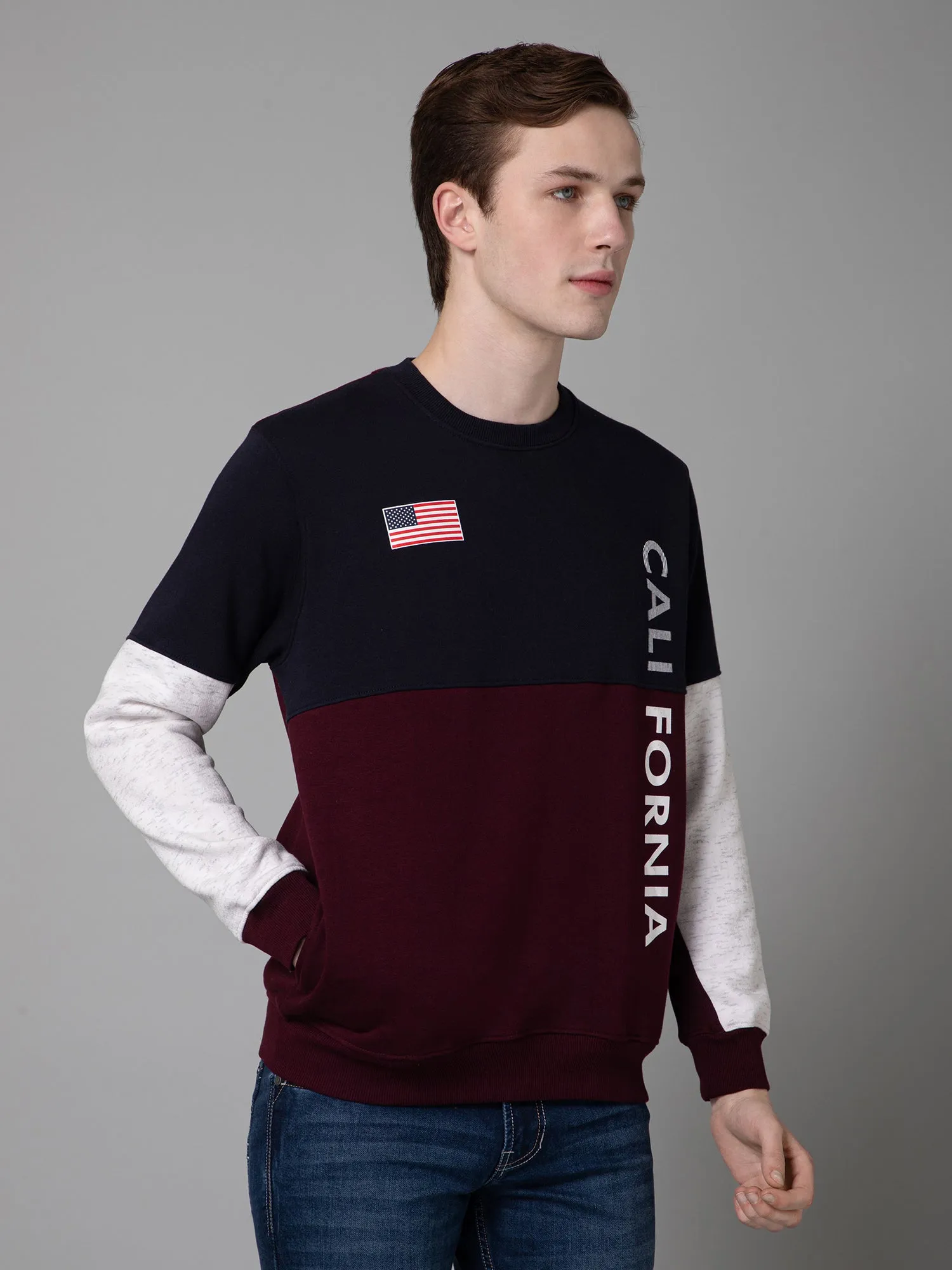 Color Blocked Wine Full Sleeves Rounded Neck Regular Fit Casual Sweatshirt for Men